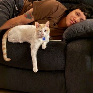 Meet your Posher, Viviana